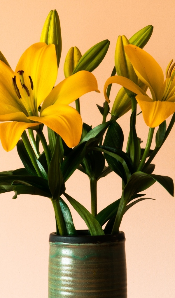 Букет желтых лилий в вазе