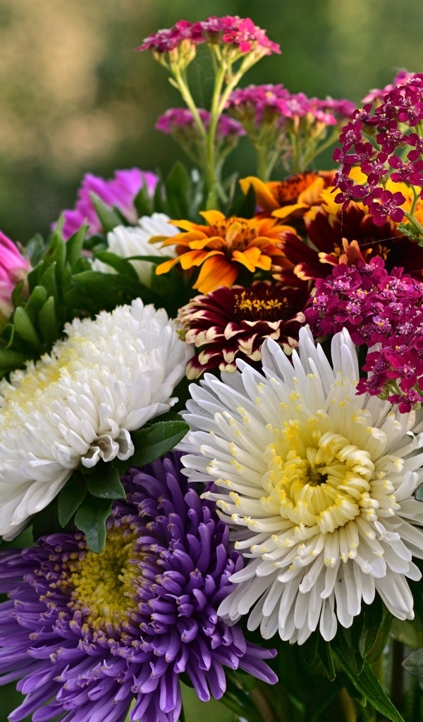 Яркий букет садовых осенних цветов
