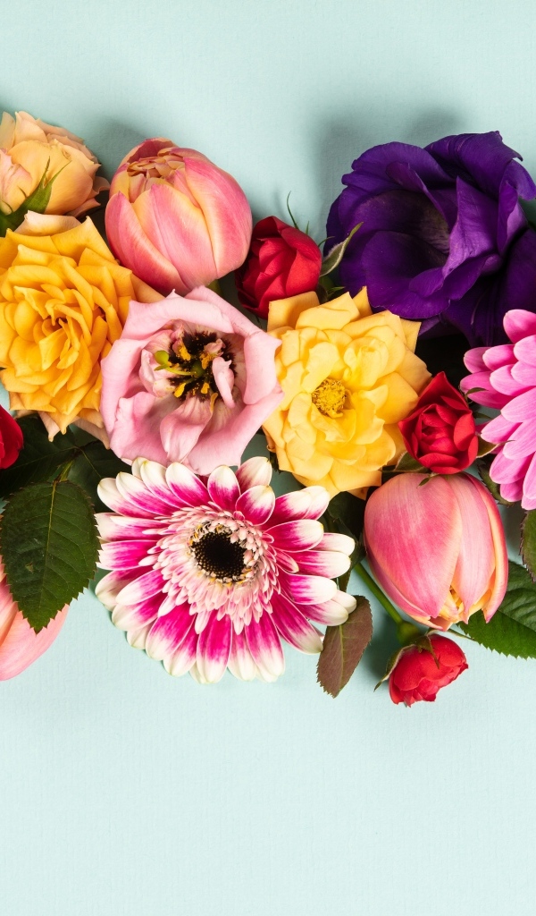 Композиция из разных цветов на сером фоне