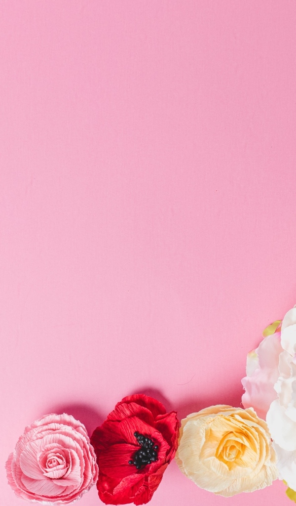 Нежные сорванные цветы на розовом фоне