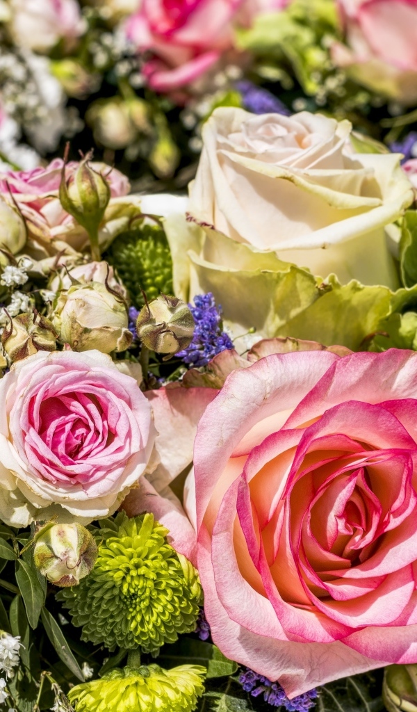 Нежные розы и цветы гипсофилы крупным планом