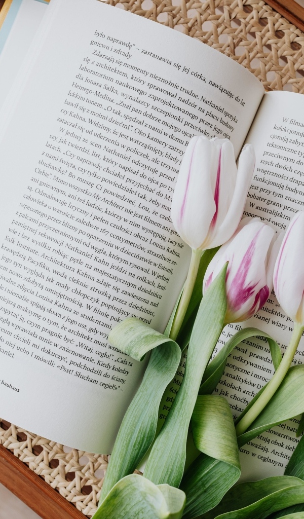 Свежие тюльпаны лежат на книге