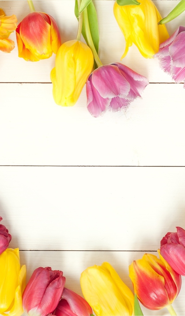 Сердце из разноцветных тюльпанов на белом столе