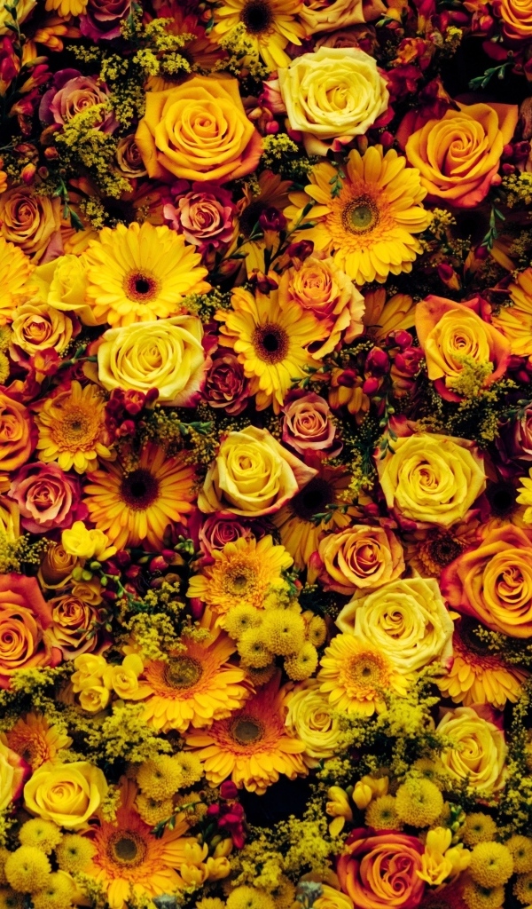 Много разных оранжевых цветов для фона