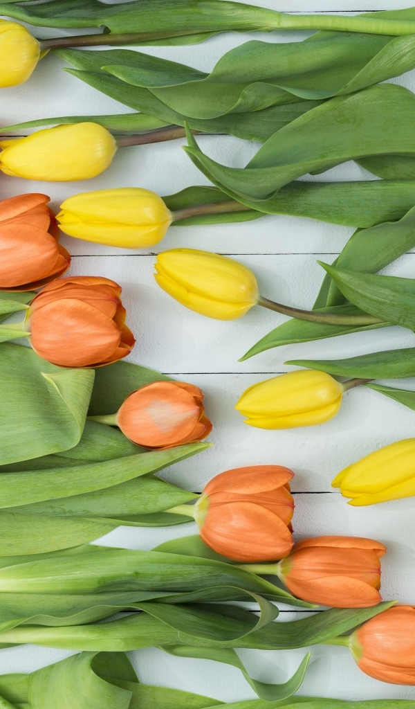 Оранжевые и желтые тюльпаны на столе