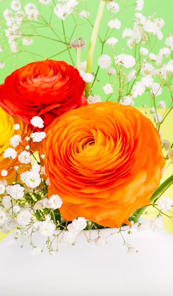 Оранжевые лютики с белыми цветами гипсофилы