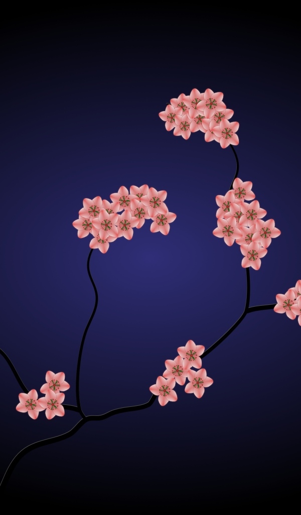 Нарисованные розовые цветы на синем фоне