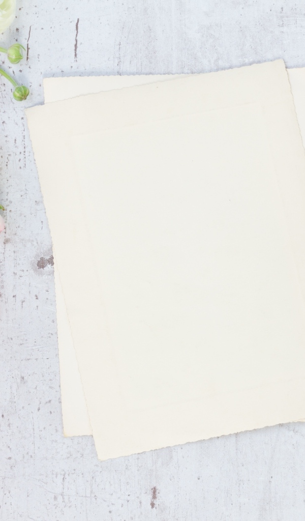 Розовые лютики с белыми листами на сером столе