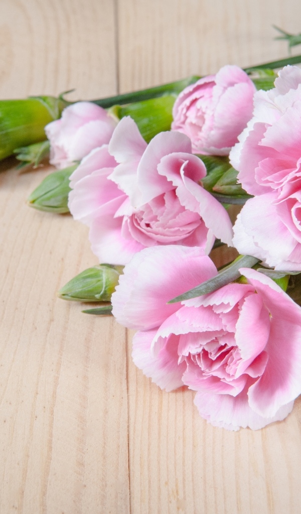 Розовые гвоздики на столе