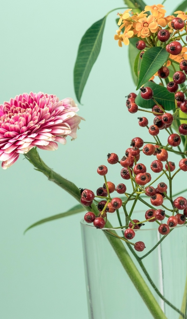 Розовые герберы с ветками на голубом фоне