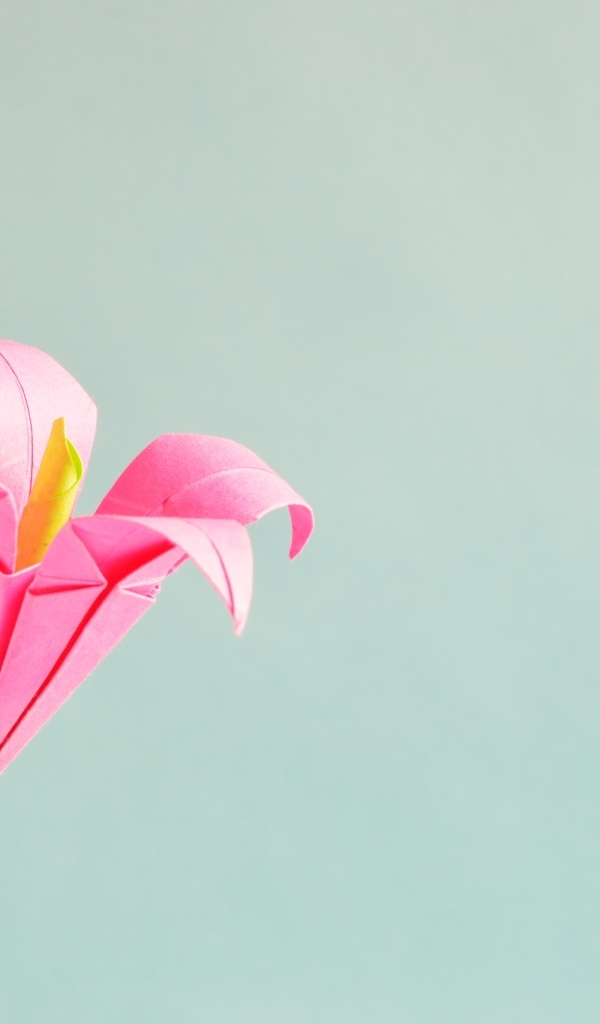 Розовый бумажный цветок на сером фоне