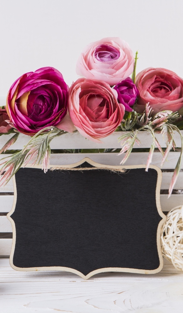 Розовые цветы лютика в белом ящике с рамкой