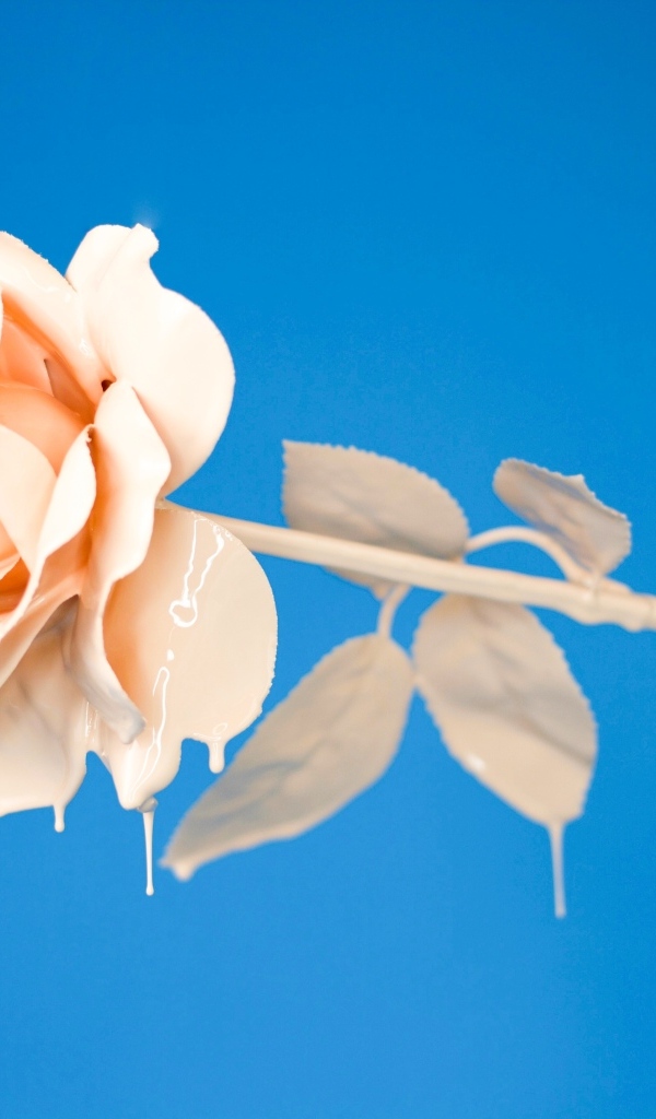 Розовая роза в краске на голубом фоне