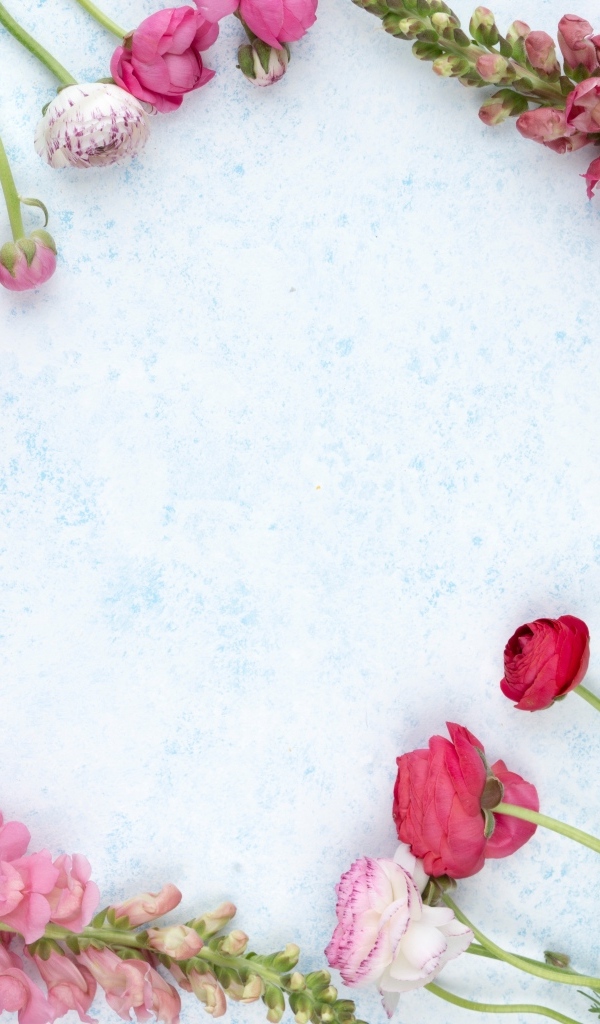 Лютики и цветы антирринум на голубом фоне