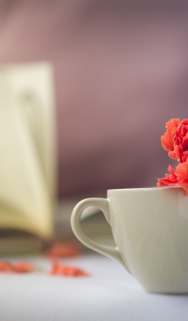 Красный цветок гвоздики в белой чашке