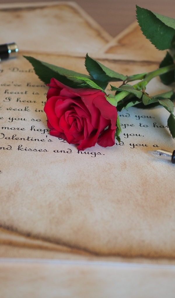 Красная роза с запиской и ручкой на столе