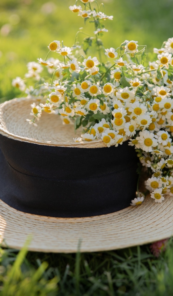 Соломенная шляпа на траве с цветами ромашки