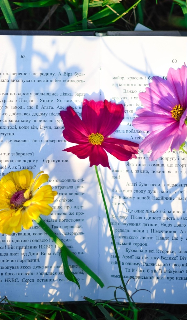 Три цветка лежат на книге в траве