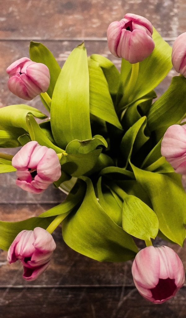 Вид сверху на букет розовых тюльпанов