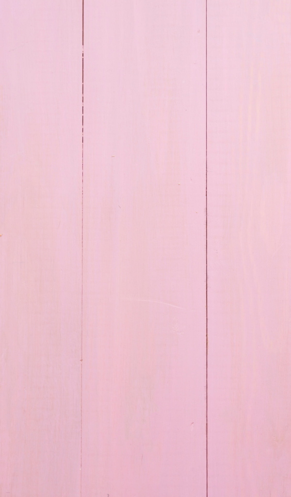 Два весенних цветка на розовом фоне