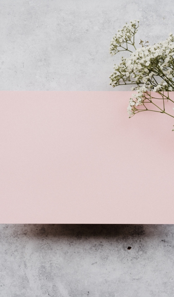 Белые цветы и лист розовой бумаги на сером фоне