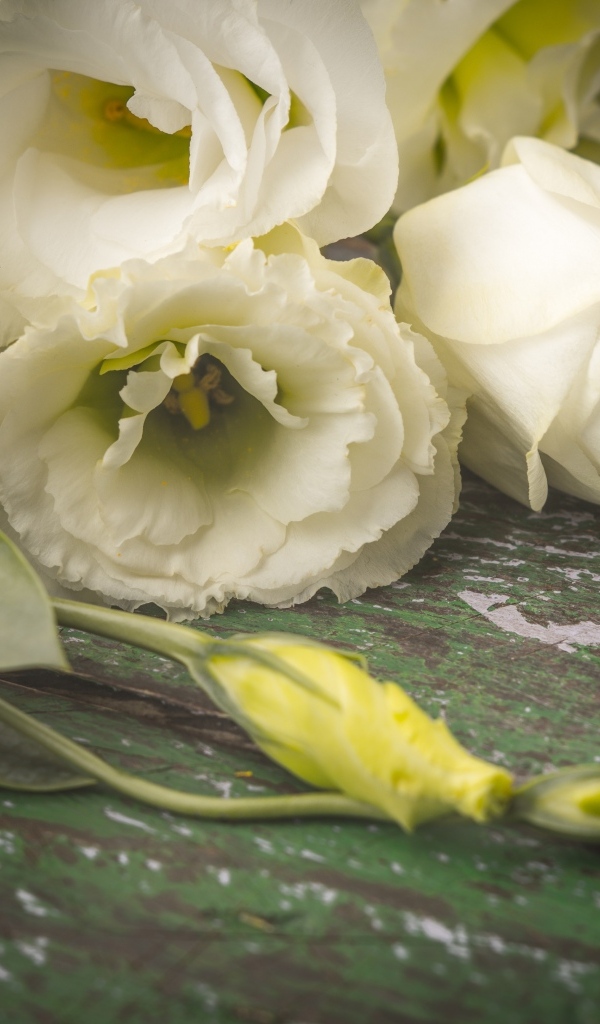 Белые розы и цветы эустомы на столе