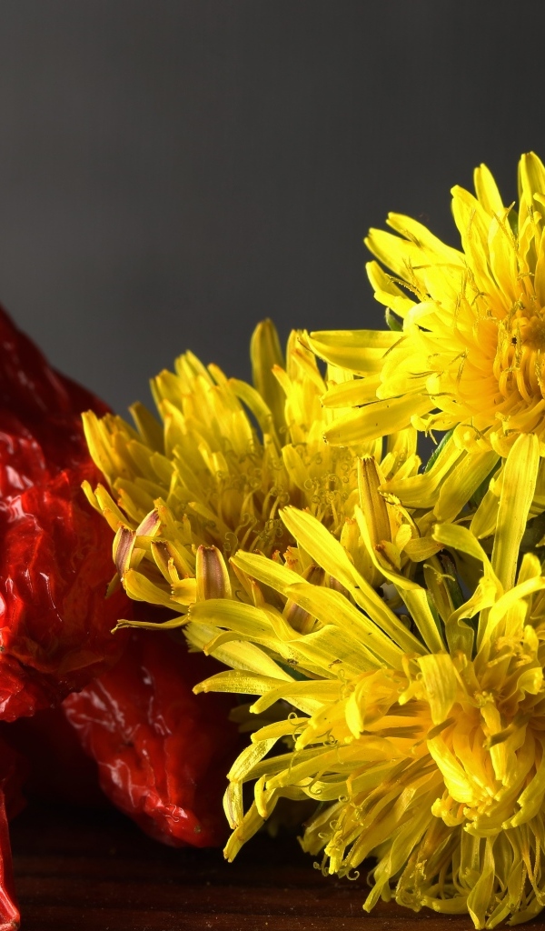 Желтые одуванчики с красным перцем на столе