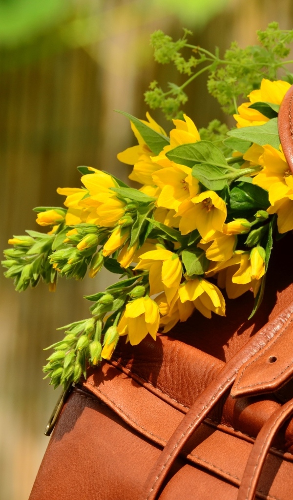 Желтые цветы лежат в кожаном рюкзаке 