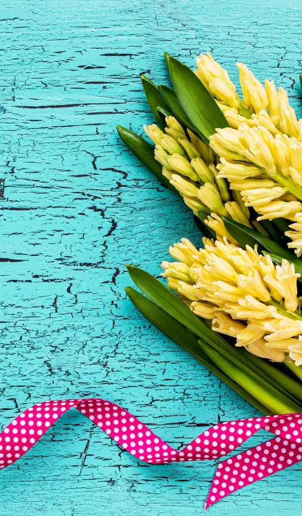 Желтые гиацинты с лентой на голубом фоне