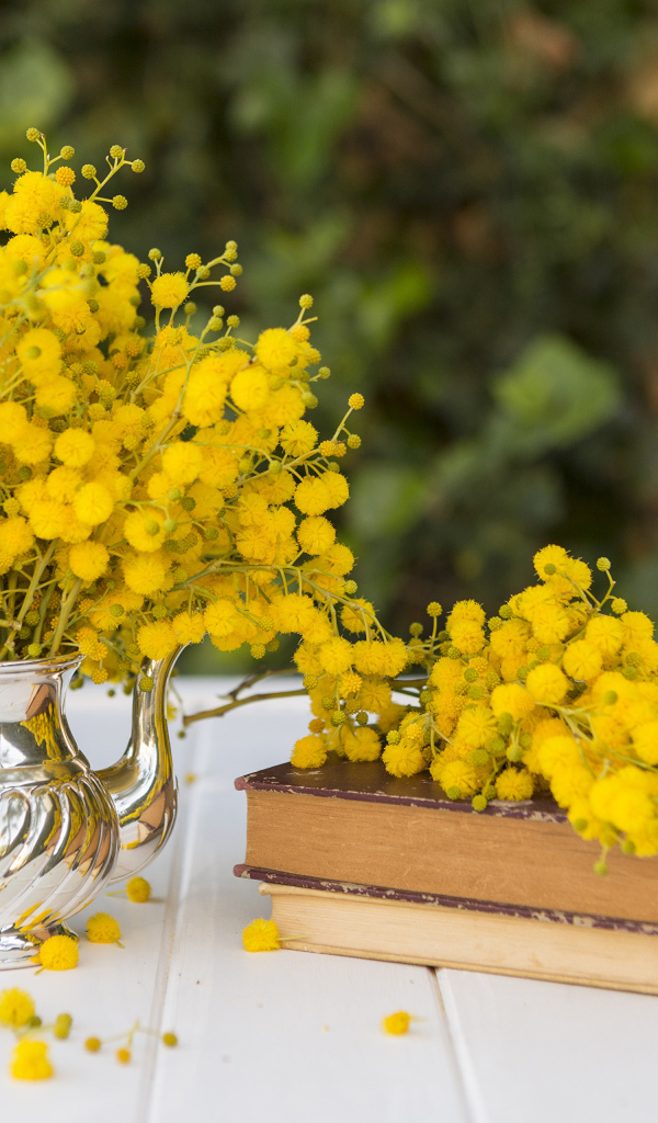 Желтые цветы мимозы на столе с книгами