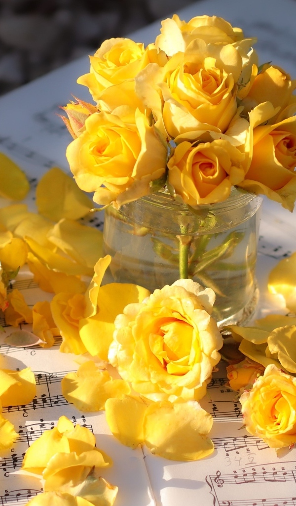 Желтые розы на нотных листах в лучах солнца