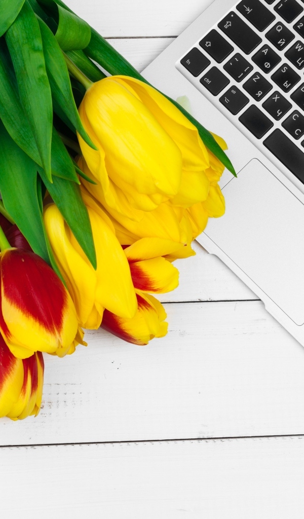 Желтые тюльпаны с ноутбуком на столе