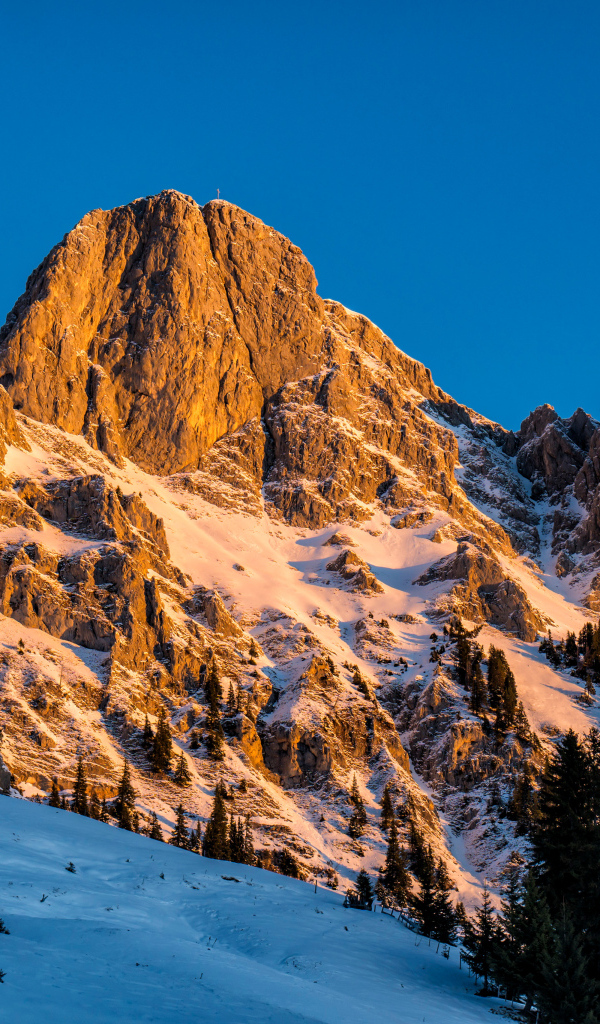 Австрийские альпы в снегу