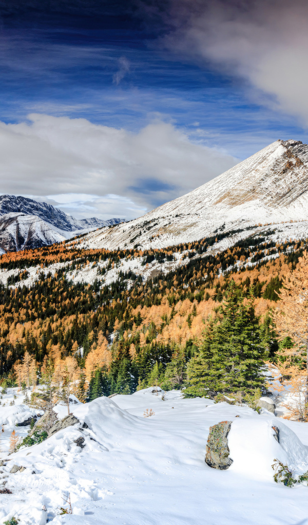 Красивый вид на холодные заснеженные горы