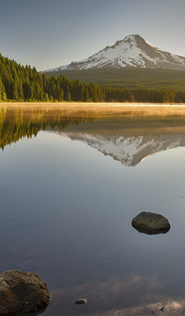 Красивый вид на озеро, лес и заснеженную гору