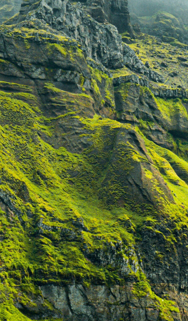 Высокая гора покрыта зеленой растительностью