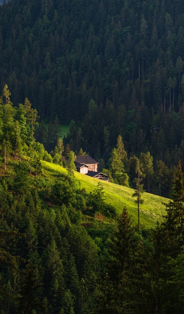 Дом на крутом покрытом лесом горном склоне