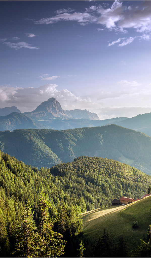 Большие покрытые густым лесом горы