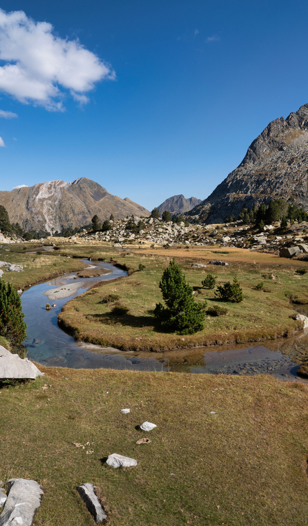 Узкая извилистая речка в горах