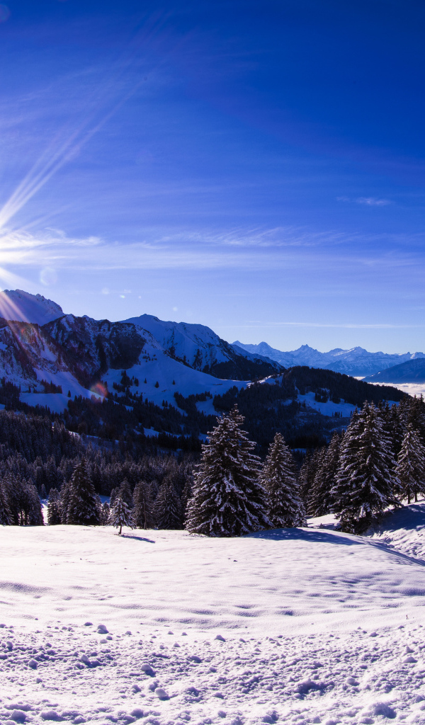 Яркое солнце освещает заснеженные альпы