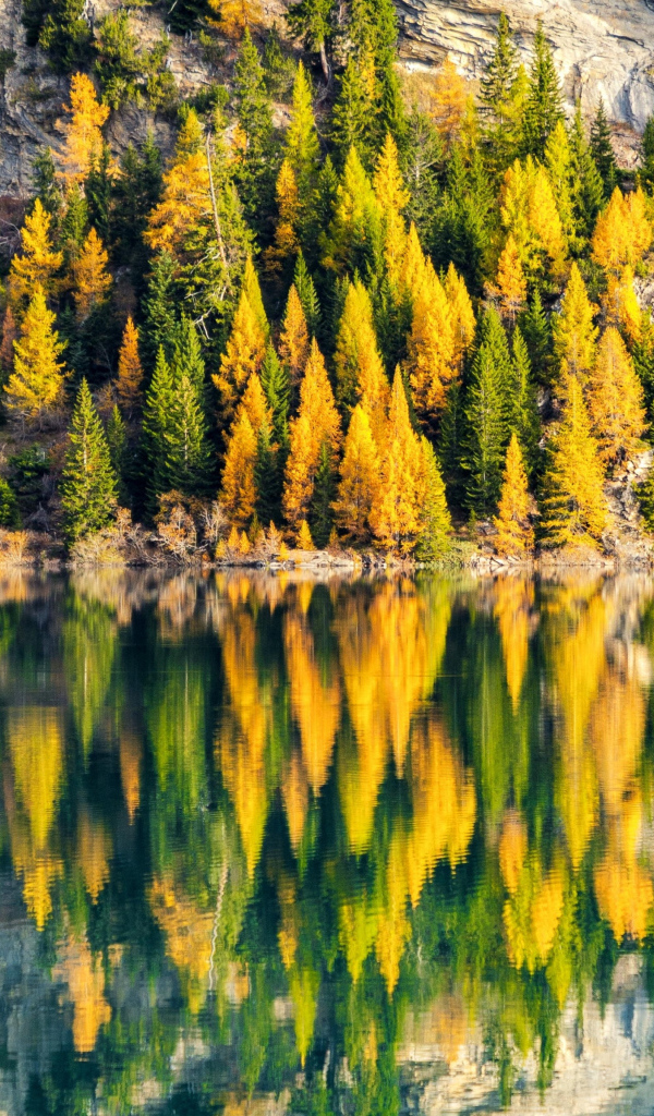 Деревья на краю горы отражаются в воде