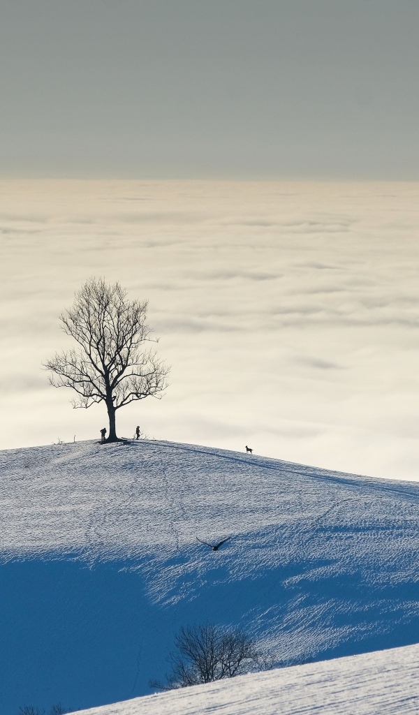 Густые белые облака в заснеженных горах