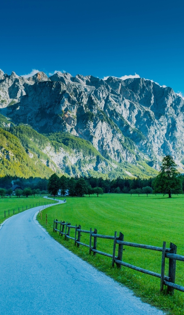 Вид на Альпы в Логарской  долине