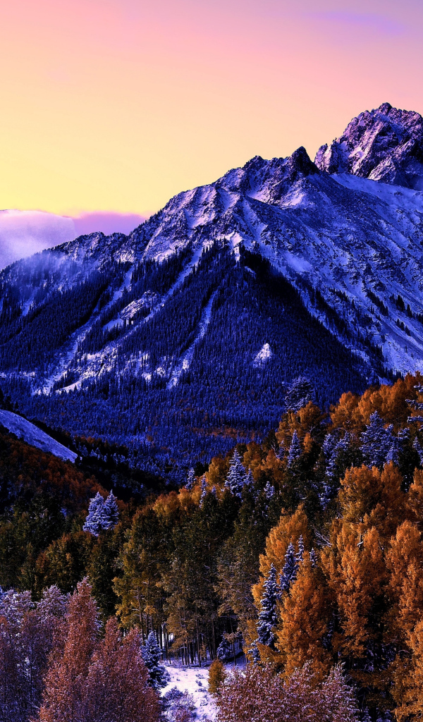Вид на заснеженную гору и лес