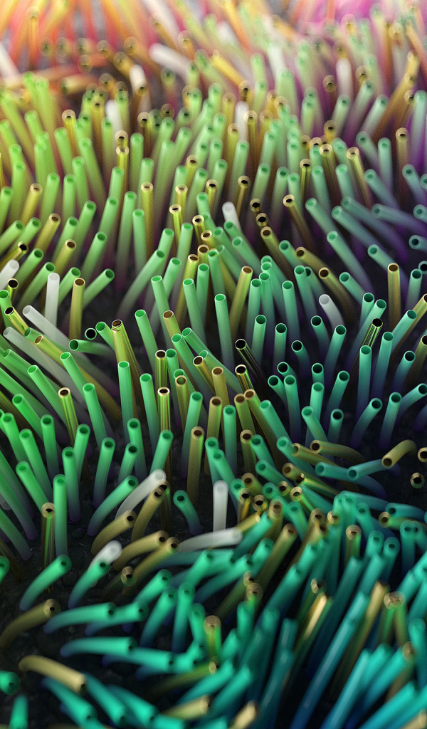 Разноцветные морские водоросли на дне