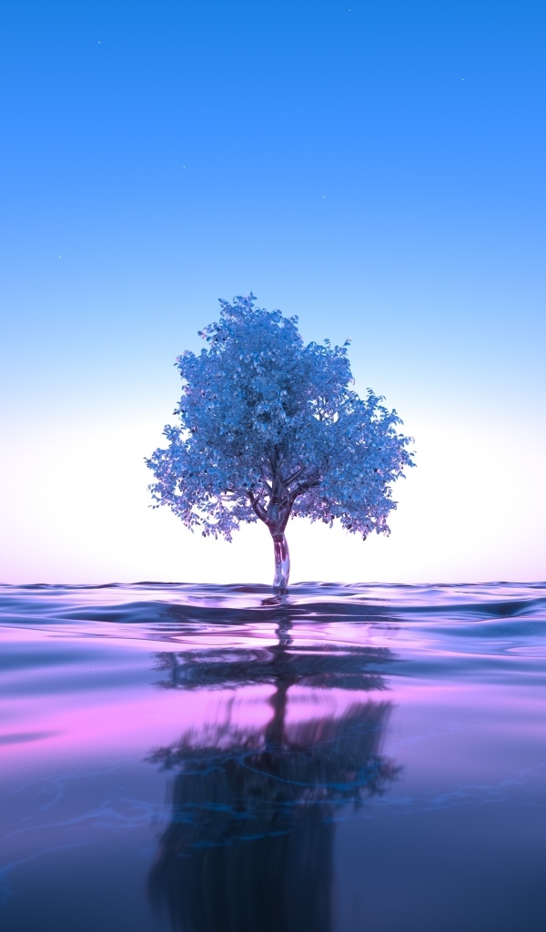 Дерево растет в воде на фоне неба