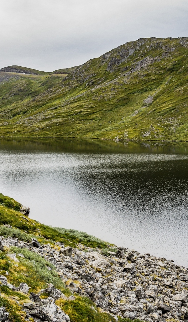Спокойная река у покрытых зеленью холмов