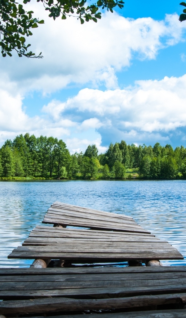 Ветхий деревянный мост у реке