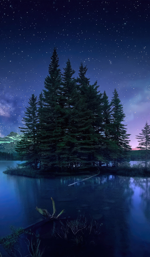 Остров с елями в озере под красивым небом