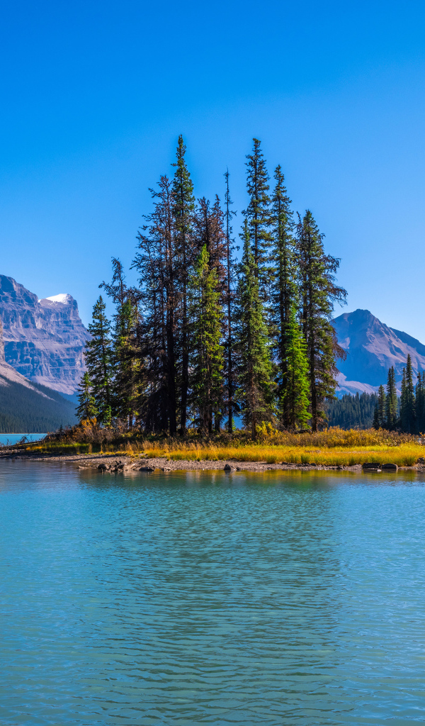 Остров с высокими елями посреди горного озера